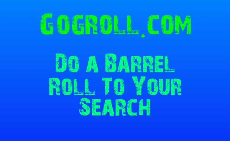 Do a Barrel Roll 20 times - Google do a barrel roll 20 times - Gogroll